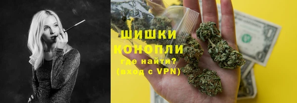 соль ск Тайга