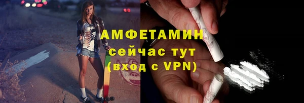 соль ск Тайга