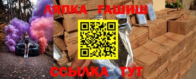мдпв Гагарин