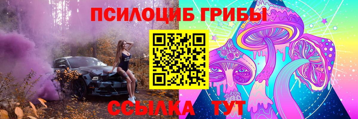 Псилоцибиновые грибы прущие грибы Владикавказ