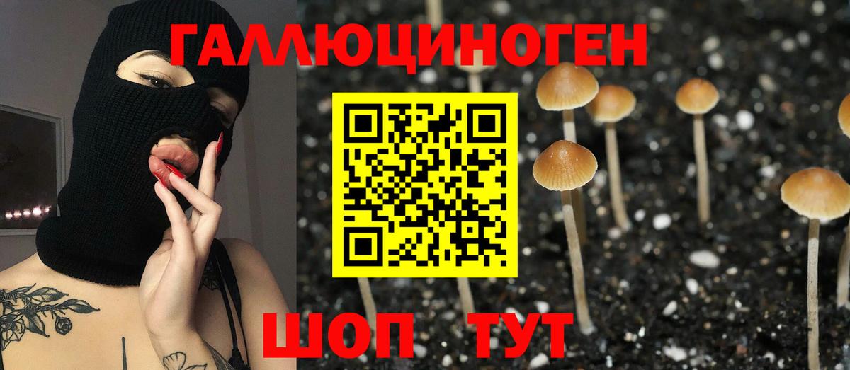 Галлюциногенные грибы мухоморы  Галлюциногенные грибы MAGIC MUSHROOMS  Владикавказ 