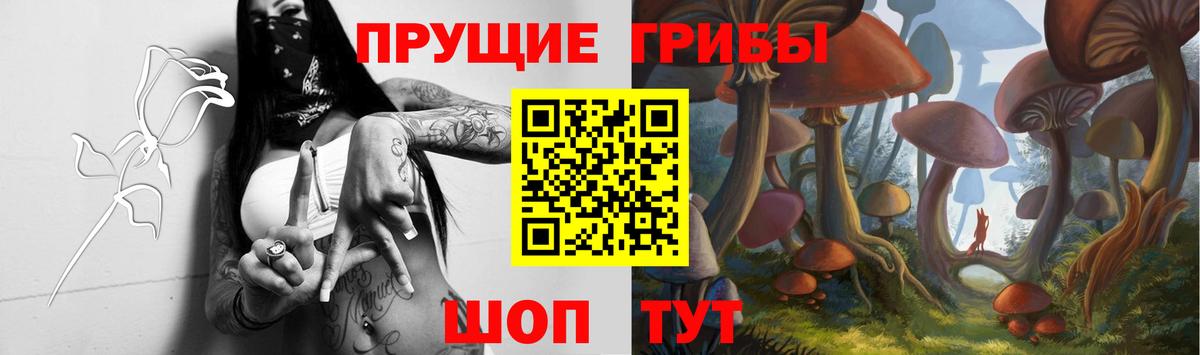 Галлюциногенные грибы Psilocybe  Вход с VPN  Псилоцибиновые грибы Cubensis  Владикавказ 