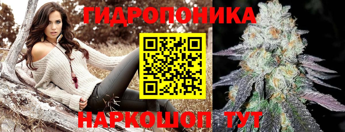Каннабис сатива  Конопля OG Kush  Вход с VPN  Каннабис VHQ  Владикавказ 